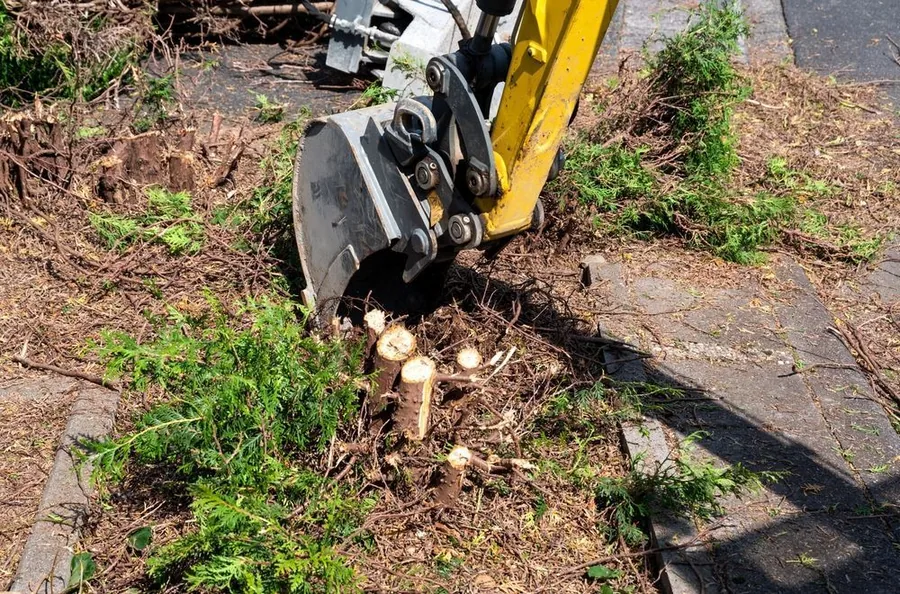 Mechanical excavator breaking up a tree stump and root ball in a garden bed
