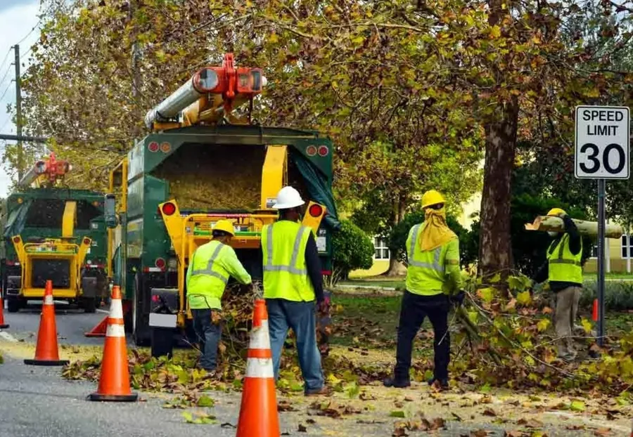 Tree removal crew in high-vis with chipper truck and safety cones on a residential street
