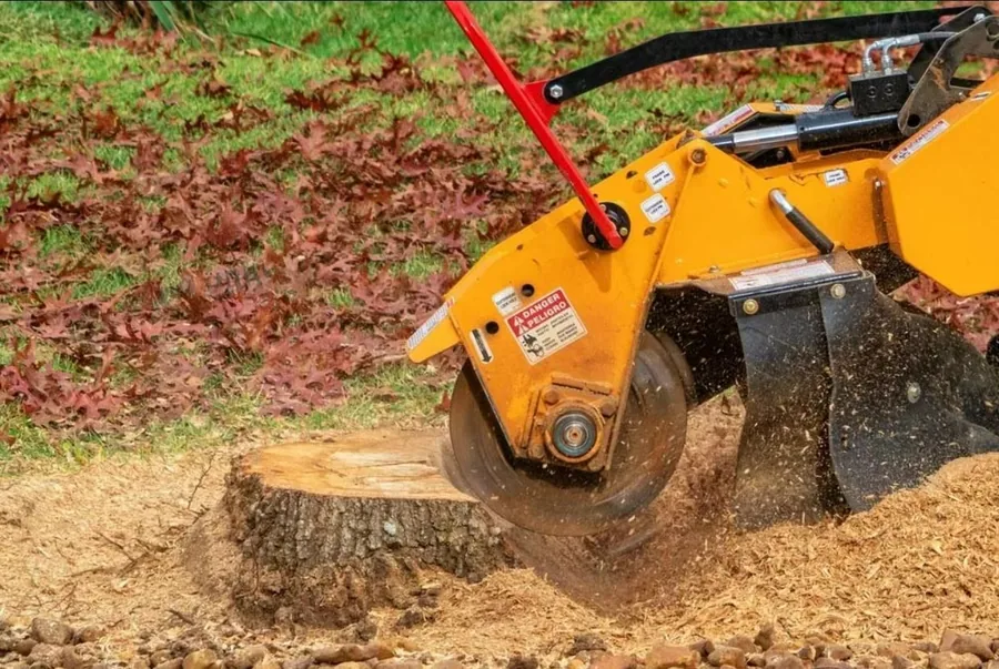 Yellow stump grinding machine cutting through a freshly removed tree stump