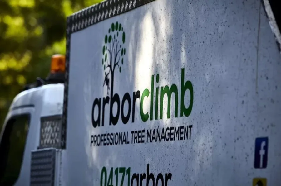 Close-up of the Arborclimb branded truck with Professional Tree Management livery