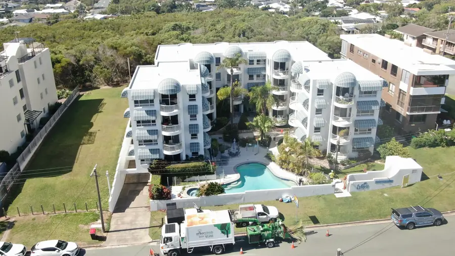 Aerial view of Arborclimb crew performing a commercial tree removal in Golden Beach