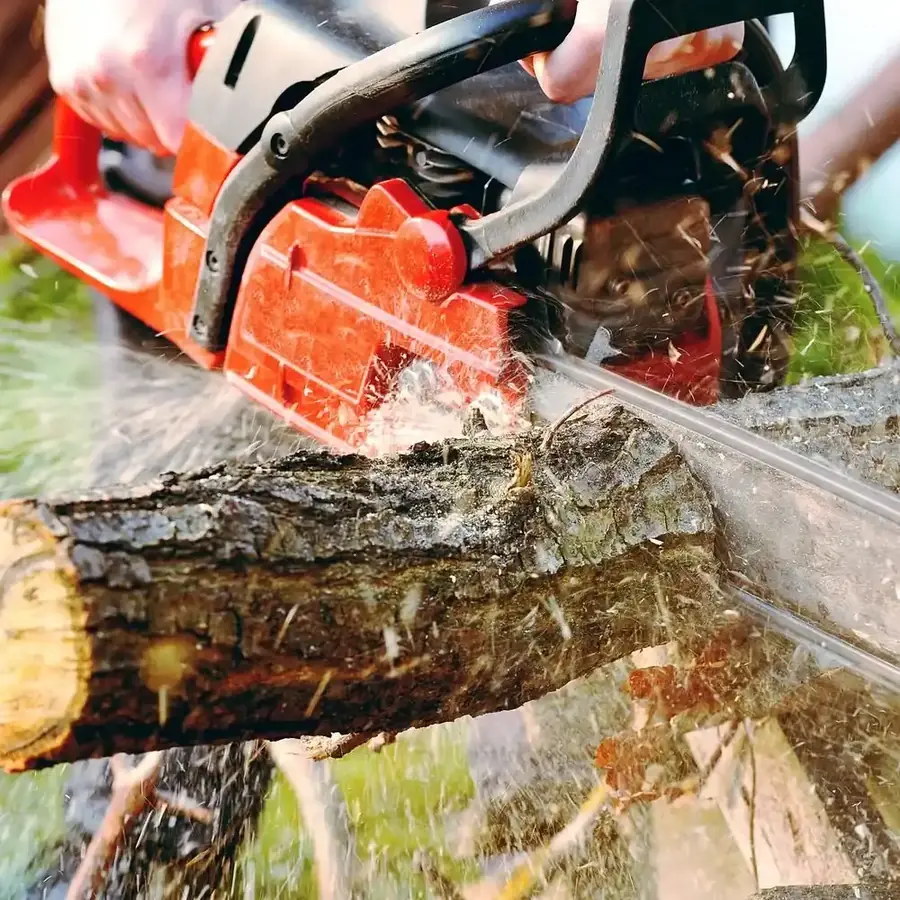 Chainsaw cutting through a tree trunk during removal in Maroochydore
