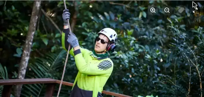 Arborclimb arborist in high-vis during tree maintenance in Mooloolaba