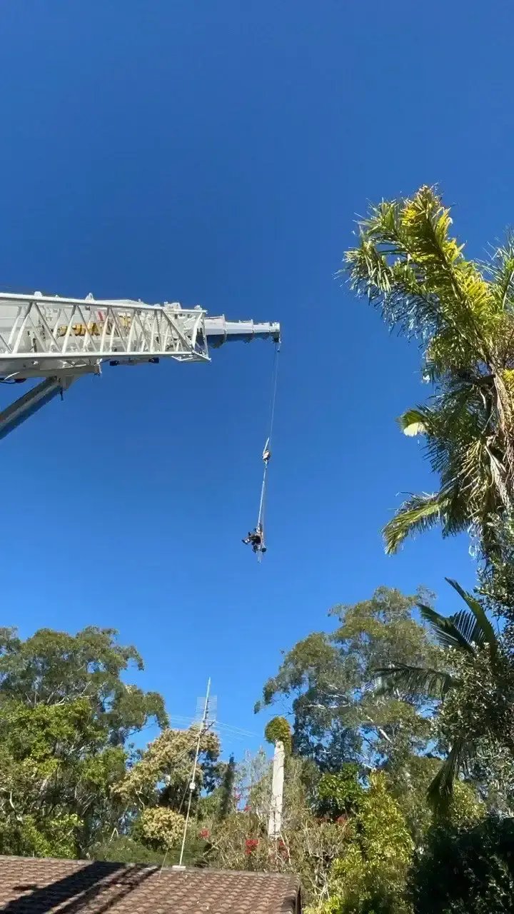 Crane arm extended against blue sky during a tree removal in Mooloolaba
