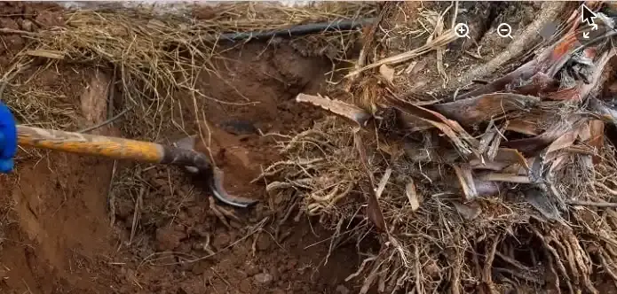 Green waste being mulched on site into garden mulch