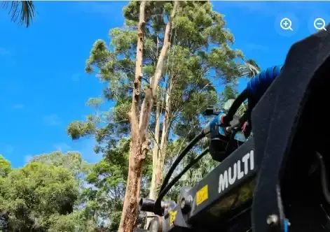 Stump grinder cutting a stump down below ground level